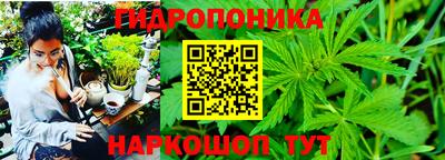 не бодяженный Славгород