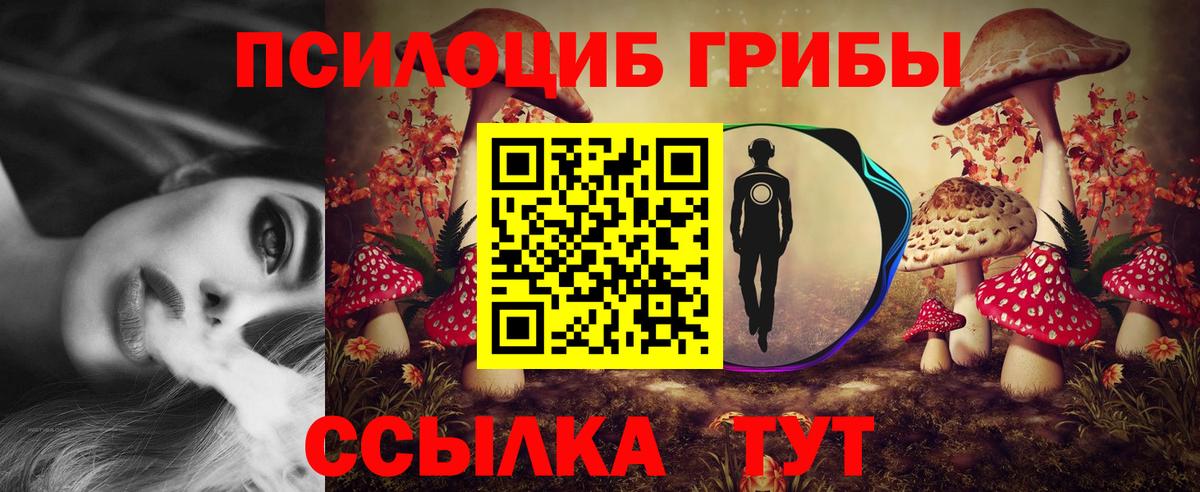 Галлюциногенные грибы Cubensis Новоуральск
